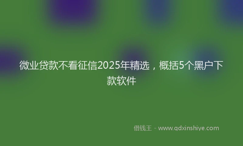 微业贷款不看征信2025年精选，概括5个黑户下款软件