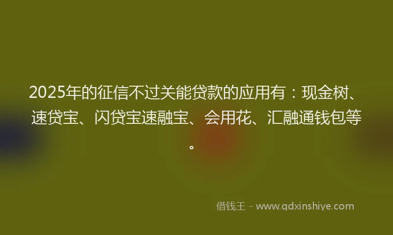 2025年的征信不过关能贷款的应用有：现金树、速贷宝、闪贷宝速融宝、会用花、汇融通钱包等。