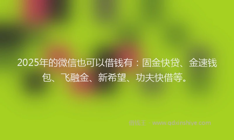 2025年的微信也可以借钱有：固金快贷、金速钱包、飞融金、新希望、功夫快借等。