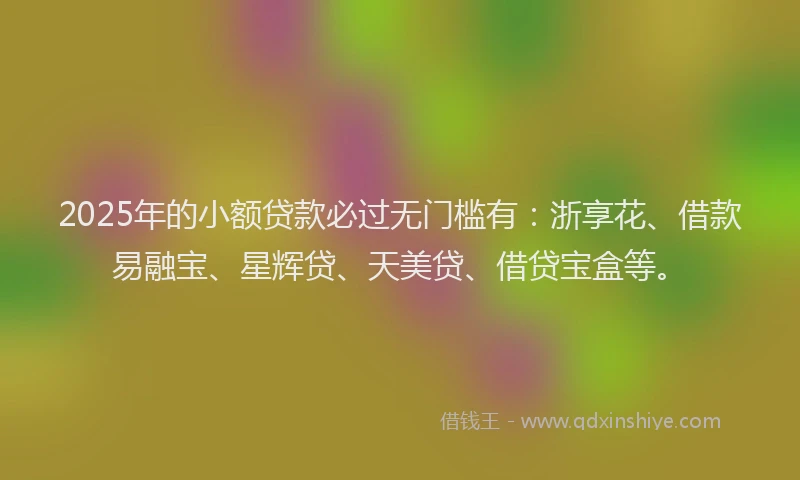 2025年的小额贷款必过无门槛有：浙享花、借款易融宝、星辉贷、天美贷、借贷宝盒等。
