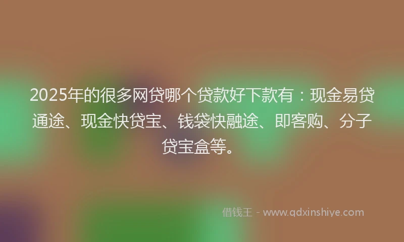 2025年的很多网贷哪个贷款好下款有：现金易贷通途、现金快贷宝、钱袋快融途、即客购、分子贷宝盒等。