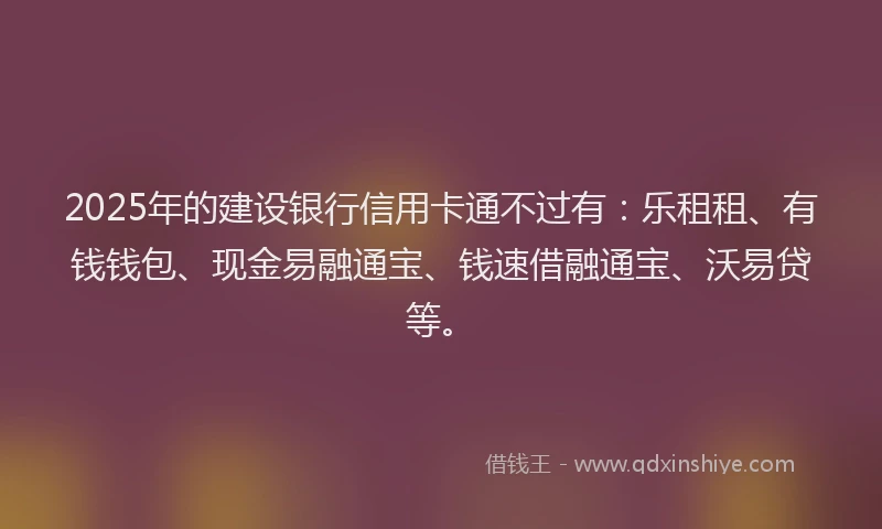 2025年的建设银行信用卡通不过有：乐租租、有钱钱包、现金易融通宝、钱速借融通宝、沃易贷等。
