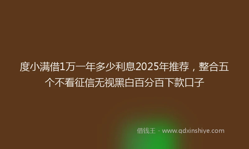 度小满借1万一年多少利息2025年推荐，整合五个不看征信无视黑白百分百下款口子
