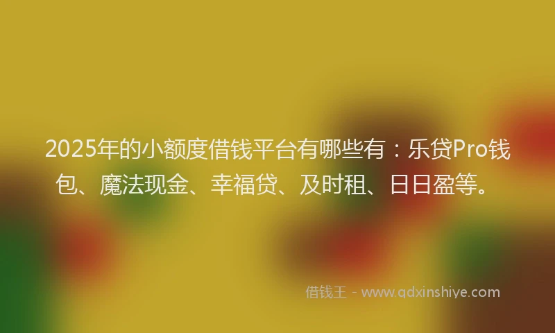 2025年的小额度借钱平台有哪些有：乐贷Pro钱包、魔法现金、幸福贷、及时租、日日盈等。
