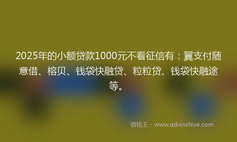 2025年的小额贷款1000元不看征信有：翼支付随意借、榕贝、钱袋快融贷、粒粒贷、钱袋快融途等。