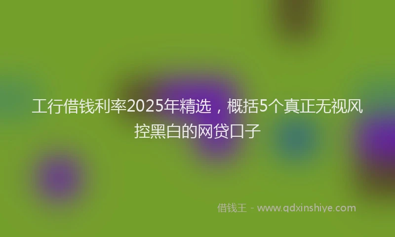 工行借钱利率2025年精选，概括5个真正无视风控黑白的网贷口子