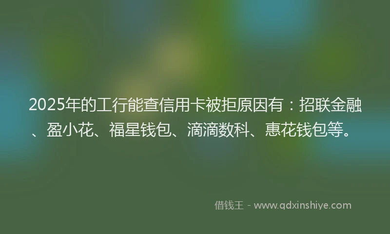 2025年的工行能查信用卡被拒原因有：招联金融、盈小花、福星钱包、滴滴数科、惠花钱包等。