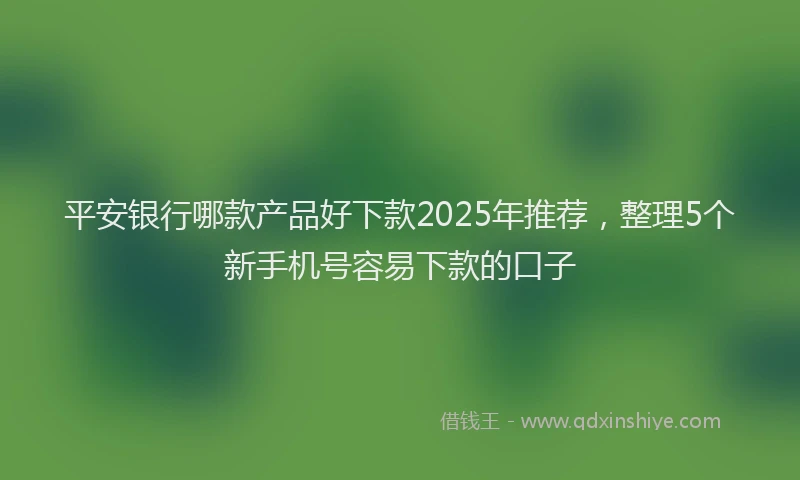 平安银行哪款产品好下款2025年推荐，整理5个新手机号容易下款的口子