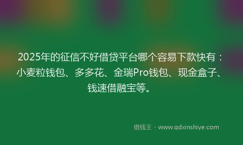2025年的征信不好借贷平台哪个容易下款快有：小麦粒钱包、多多花、金瑞Pro钱包、现金盒子、钱速借融宝等。