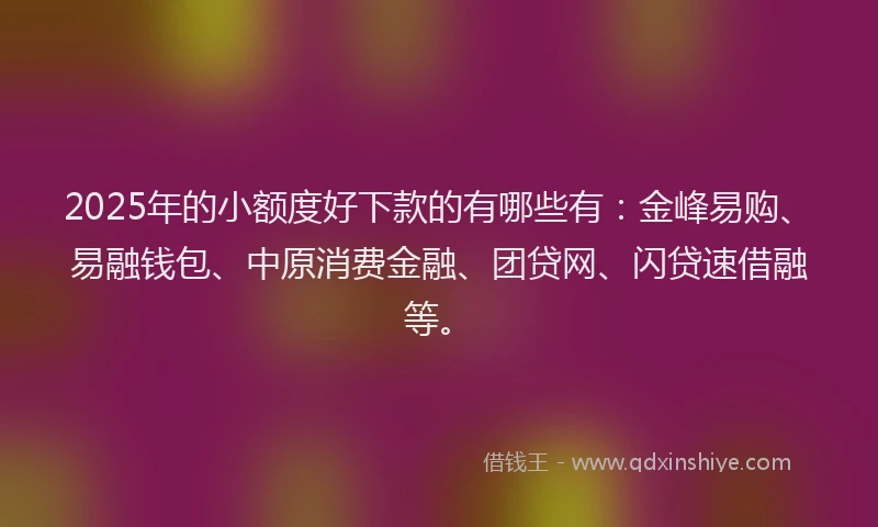 2025年的小额度好下款的有哪些有：金峰易购、易融钱包、中原消费金融、团贷网、闪贷速借融等。