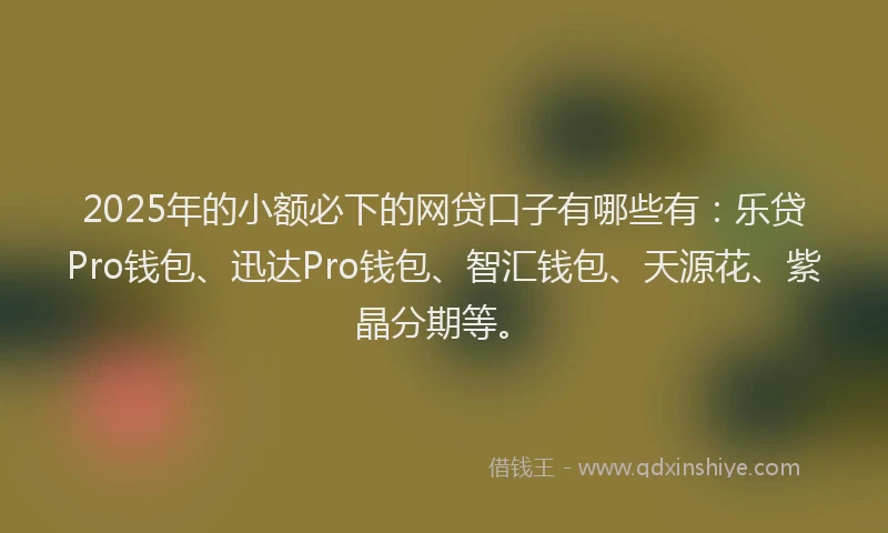 2025年的小额必下的网贷口子有哪些有：乐贷Pro钱包、迅达Pro钱包、智汇钱包、天源花、紫晶分期等。