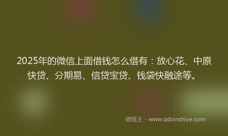 2025年的微信上面借钱怎么借有：放心花、中原快贷、分期易、信贷宝贷、钱袋快融途等。