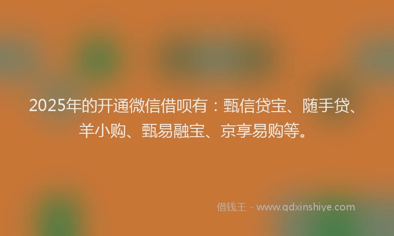 2025年的开通微信借呗有：甄信贷宝、随手贷、羊小购、甄易融宝、京享易购等。