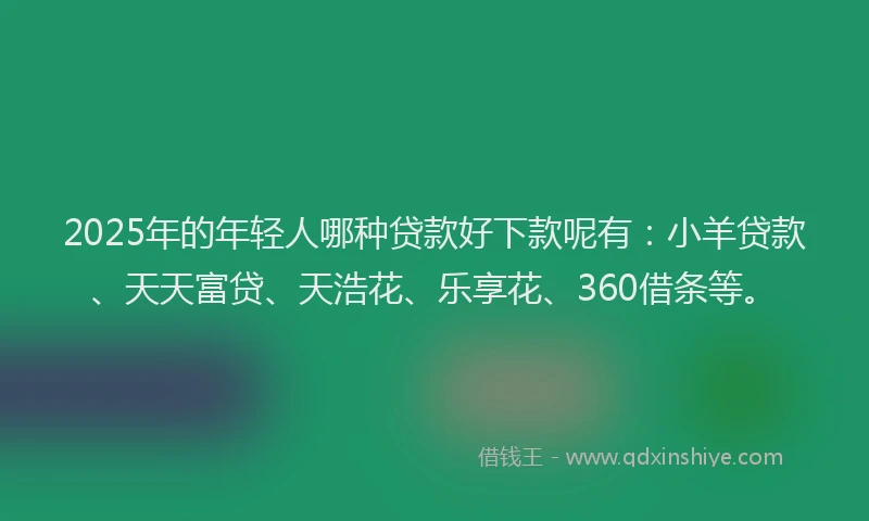 2025年的年轻人哪种贷款好下款呢有：小羊贷款、天天富贷、天浩花、乐享花、360借条等。