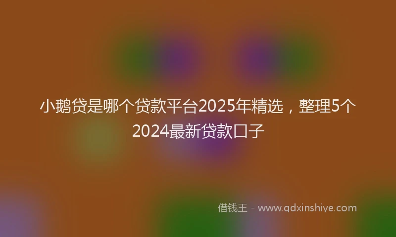 小鹅贷是哪个贷款平台2025年精选，整理5个2024最新贷款口子