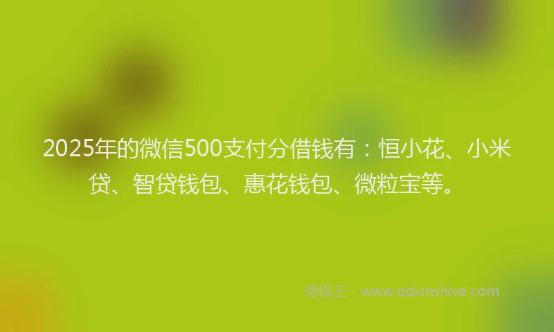2025年的微信500支付分借钱有：恒小花、小米贷、智贷钱包、惠花钱包、微粒宝等。