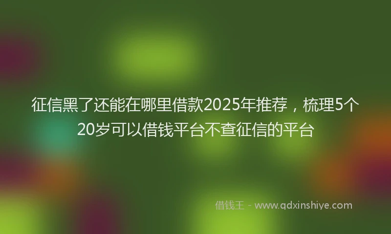征信黑了还能在哪里借款2025年推荐，梳理5个20岁可以借钱平台不查征信的平台