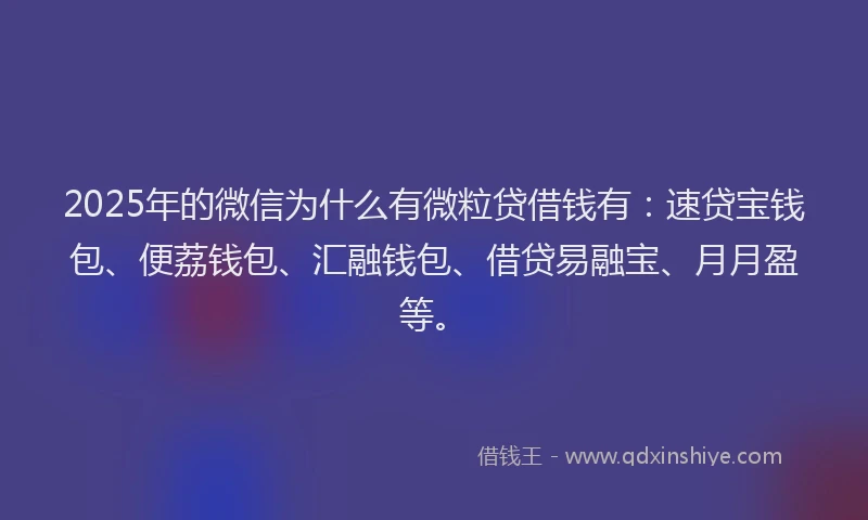 2025年的微信为什么有微粒贷借钱有：速贷宝钱包、便荔钱包、汇融钱包、借贷易融宝、月月盈等。