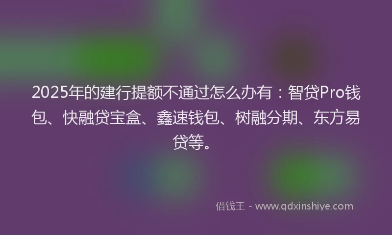 2025年的建行提额不通过怎么办有：智贷Pro钱包、快融贷宝盒、鑫速钱包、树融分期、东方易贷等。