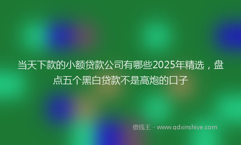 当天下款的小额贷款公司有哪些2025年精选，盘点五个黑白贷款不是高炮的口子