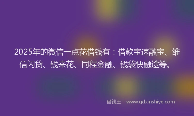 2025年的微信一点花借钱有：借款宝速融宝、维信闪贷、钱来花、同程金融、钱袋快融途等。