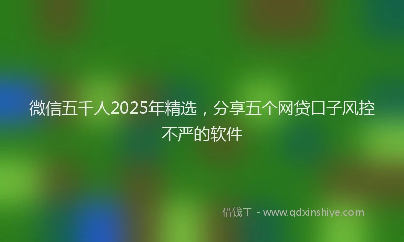 微信五千人2025年精选，分享五个网贷口子风控不严的软件