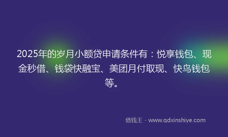 2025年的岁月小额贷申请条件有：悦享钱包、现金秒借、钱袋快融宝、美团月付取现、快鸟钱包等。