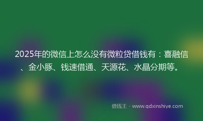 2025年的微信上怎么没有微粒贷借钱有：喜融信、金小豚、钱速借通、天源花、水晶分期等。