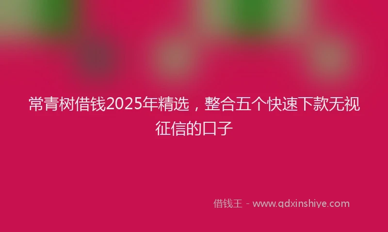 常青树借钱2025年精选，整合五个快速下款无视征信的口子