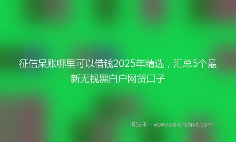 征信呆账哪里可以借钱2025年精选，汇总5个最新无视黑白户网贷口子