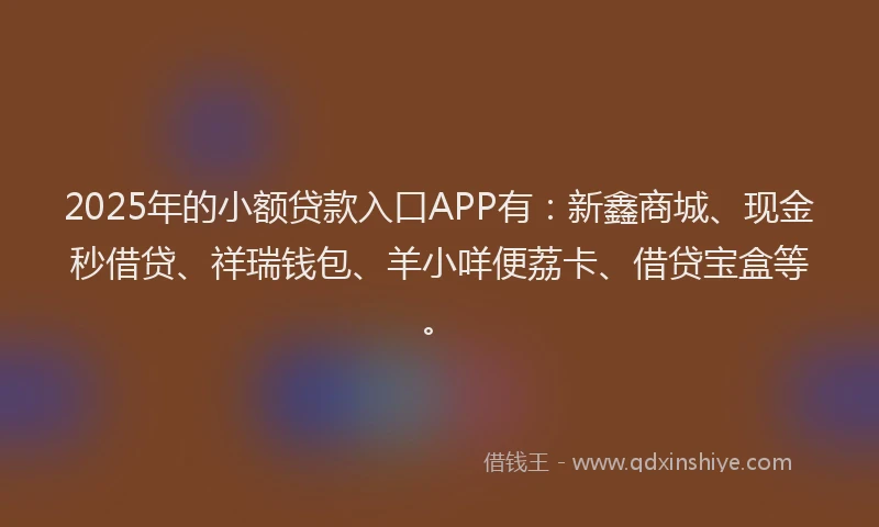 2025年的小额贷款入口APP有：新鑫商城、现金秒借贷、祥瑞钱包、羊小咩便荔卡、借贷宝盒等。