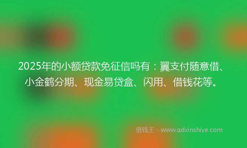 2025年的小额贷款免征信吗有：翼支付随意借、小金鹤分期、现金易贷盒、闪用、借钱花等。