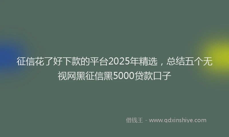 征信花了好下款的平台2025年精选，总结五个无视网黑征信黑5000贷款口子