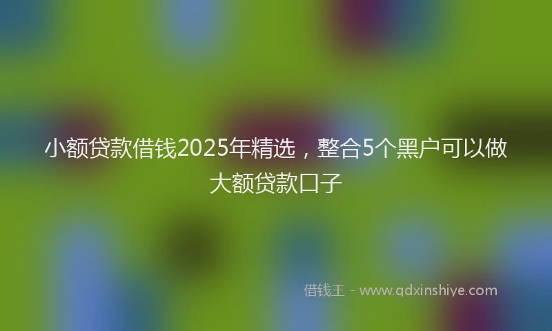 小额贷款借钱2025年精选，整合5个黑户可以做大额贷款口子