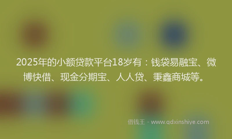 2025年的小额贷款平台18岁有：钱袋易融宝、微博快借、现金分期宝、人人贷、秉鑫商城等。