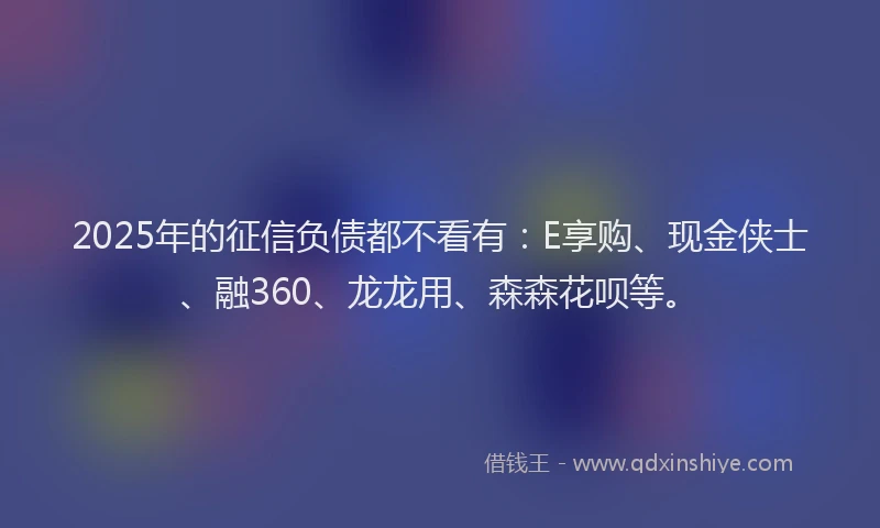 2025年的征信负债都不看有：E享购、现金侠士、融360、龙龙用、森森花呗等。