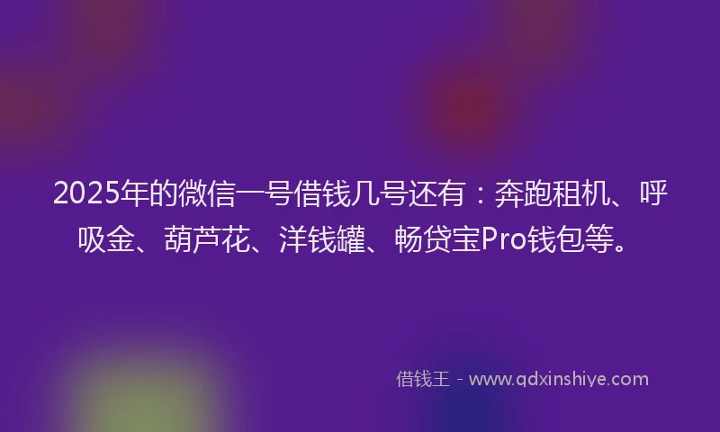 2025年的微信一号借钱几号还有：奔跑租机、呼吸金、葫芦花、洋钱罐、畅贷宝Pro钱包等。