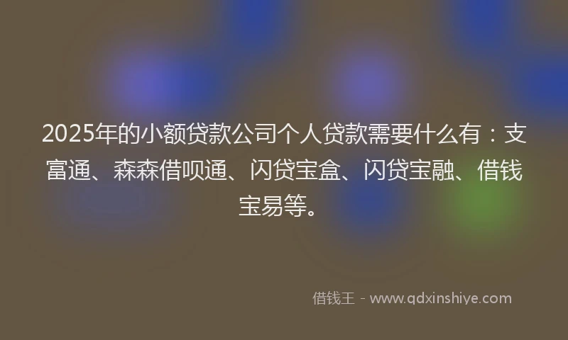 2025年的小额贷款公司个人贷款需要什么有：支富通、森森借呗通、闪贷宝盒、闪贷宝融、借钱宝易等。