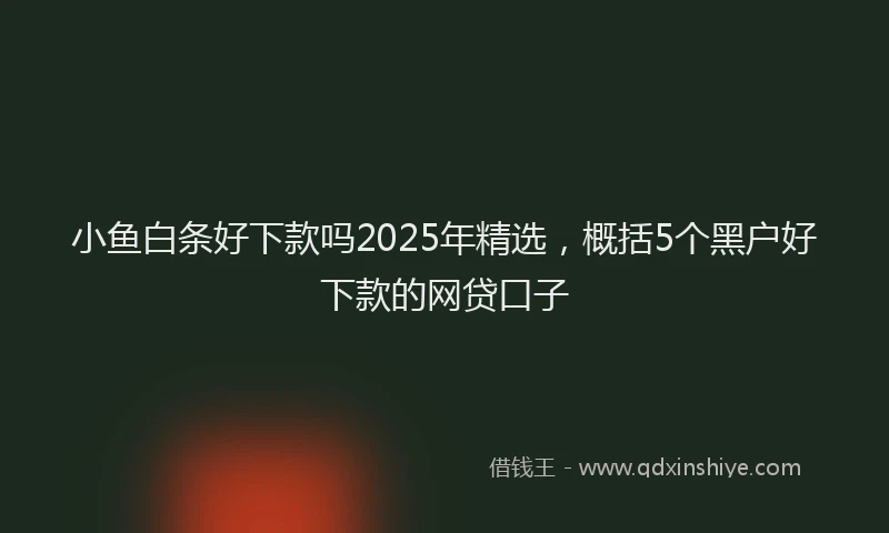 小鱼白条好下款吗2025年精选，概括5个黑户好下款的网贷口子