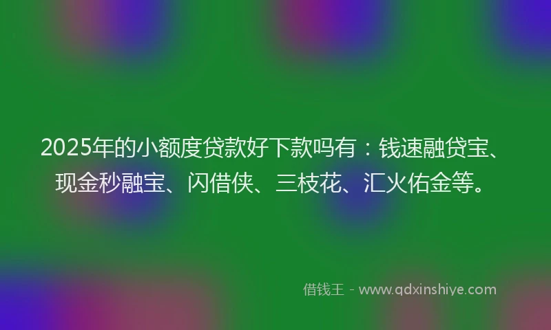 2025年的小额度贷款好下款吗有：钱速融贷宝、现金秒融宝、闪借侠、三枝花、汇火佑金等。