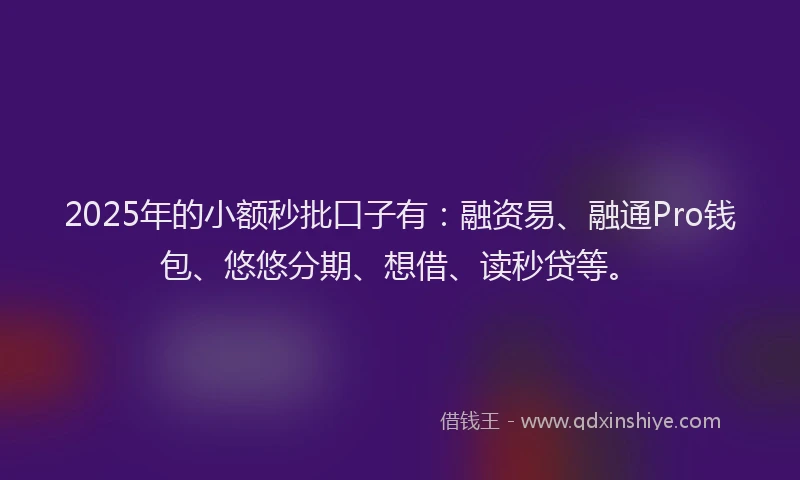2025年的小额秒批口子有：融资易、融通Pro钱包、悠悠分期、想借、读秒贷等。
