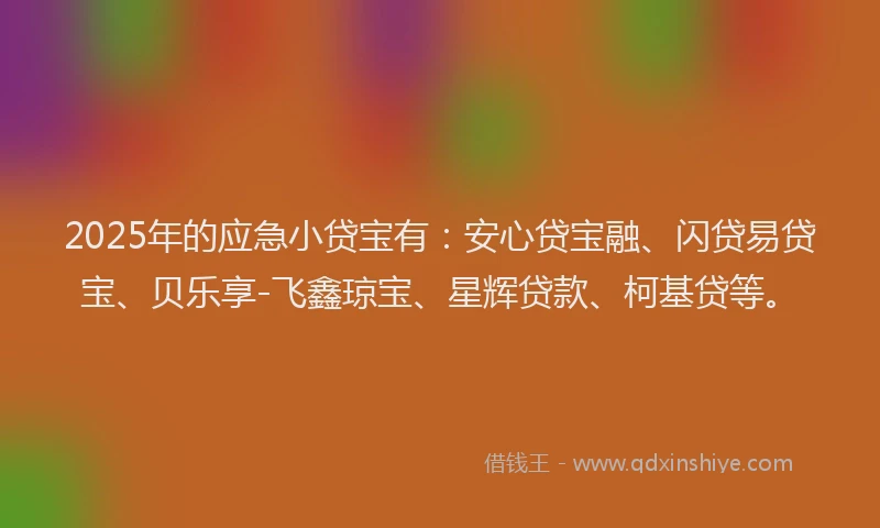 2025年的应急小贷宝有：安心贷宝融、闪贷易贷宝、贝乐享-飞鑫琼宝、星辉贷款、柯基贷等。