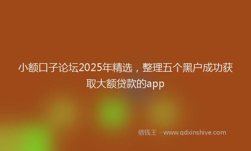 小额口子论坛2025年精选，整理五个黑户成功获取大额贷款的app