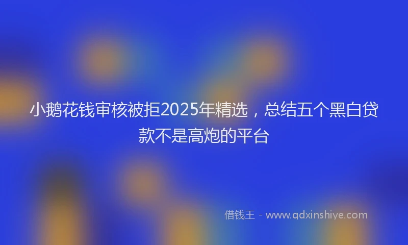小鹅花钱审核被拒2025年精选，总结五个黑白贷款不是高炮的平台