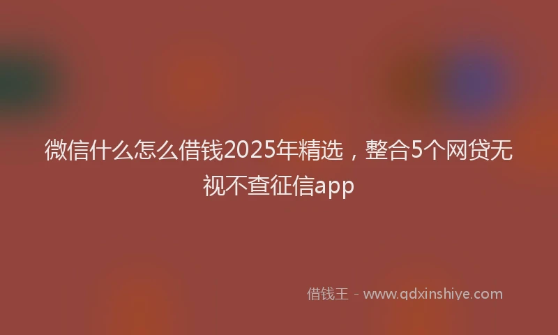 微信什么怎么借钱2025年精选，整合5个网贷无视不查征信app