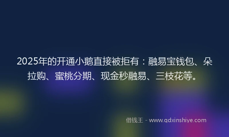 2025年的开通小鹅直接被拒有：融易宝钱包、朵拉购、蜜桃分期、现金秒融易、三枝花等。