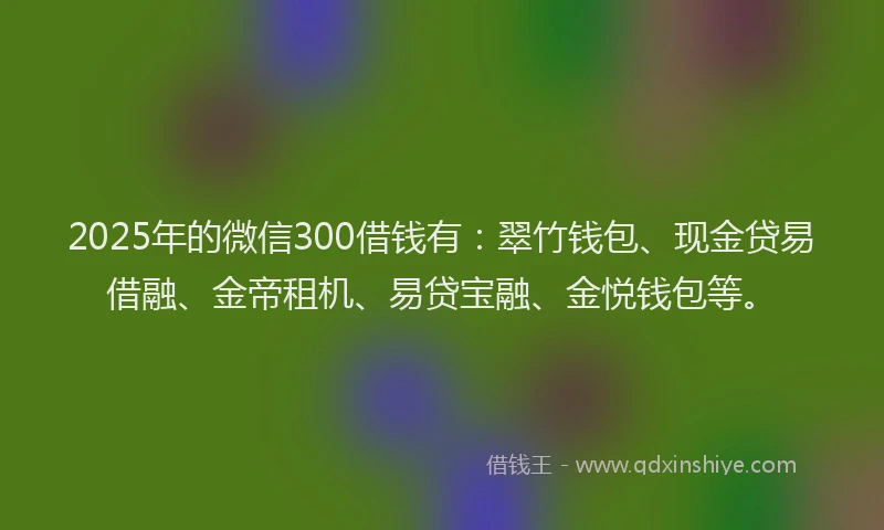 2025年的微信300借钱有：翠竹钱包、现金贷易借融、金帝租机、易贷宝融、金悦钱包等。