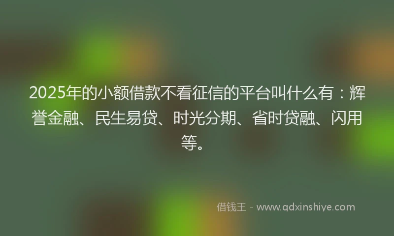 2025年的小额借款不看征信的平台叫什么有：辉誉金融、民生易贷、时光分期、省时贷融、闪用等。