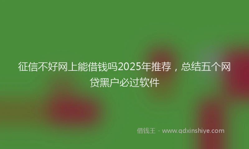 征信不好网上能借钱吗2025年推荐，总结五个网贷黑户必过软件