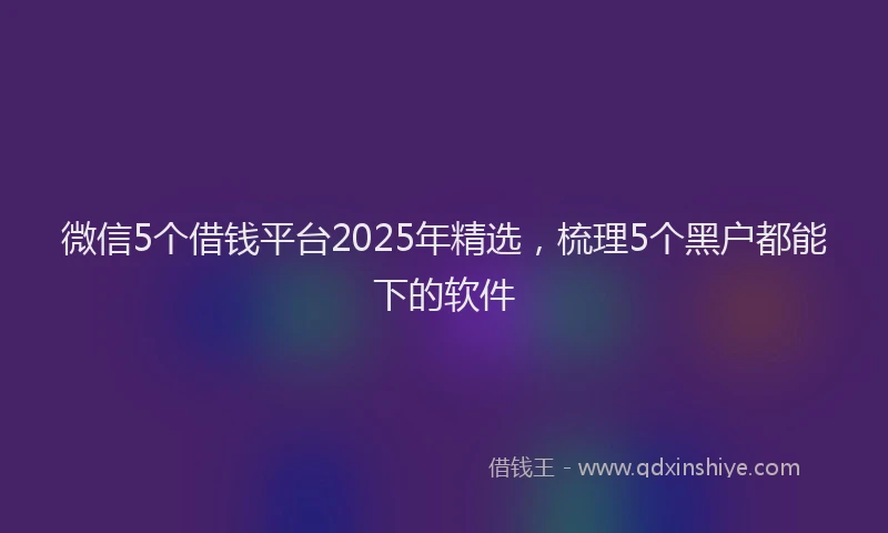 微信5个借钱平台2025年精选，梳理5个黑户都能下的软件